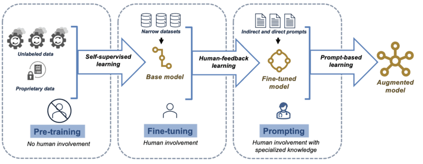 LLM Training Process